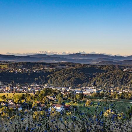 Ferienwohnung Im Alpenblick Steinen  Buitenkant foto
