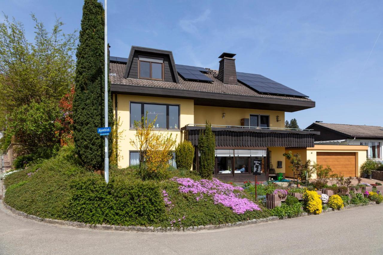 Ferienwohnung Im Alpenblick Steinen  Buitenkant foto