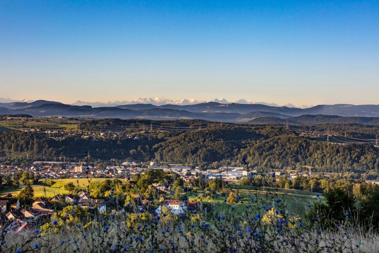 Ferienwohnung Im Alpenblick Steinen  Buitenkant foto